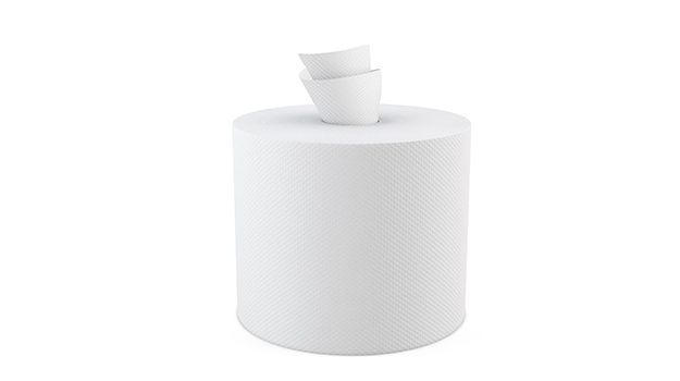 Empress White 2-Ply Center Pull Towels, 8 x 10 in, 600 Sheets, 6 Rolls